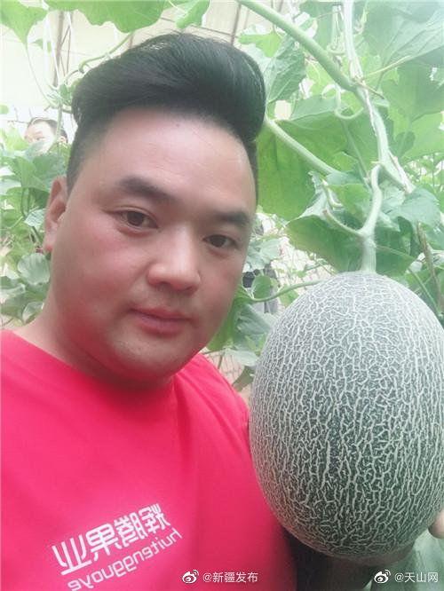 吃瓜卖视频,揭秘吃瓜卖视频背后的流量密码