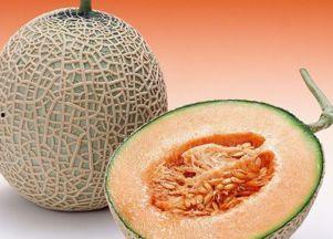 能空腹吃哈密瓜吗,空腹食用哈密瓜的适宜性探讨