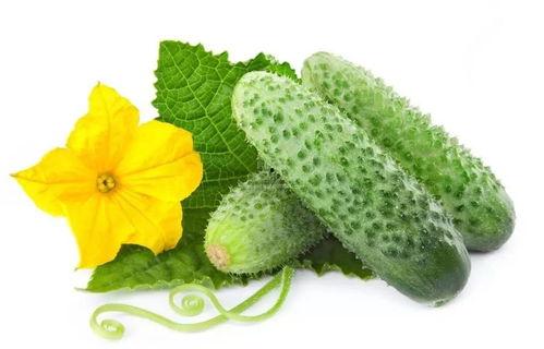 唐九九吃瓜系统