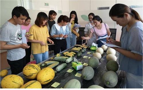 刺激吃瓜科技,揭秘科技圈的热点事件与幕后故事