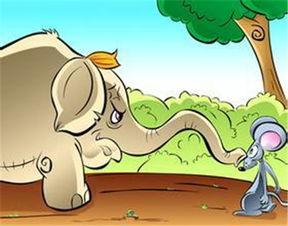 吃瓜群众小老鼠