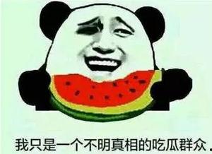 大家在吃啥瓜