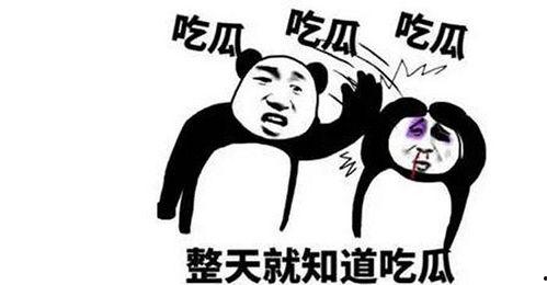 吃瓜比赛题,一场舌尖上的吃瓜盛宴