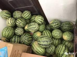 吃瓜群火漆,揭秘网络社交背后的神秘力量