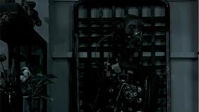 吃瓜最新纹身图片,纹身艺术诠释独特个性