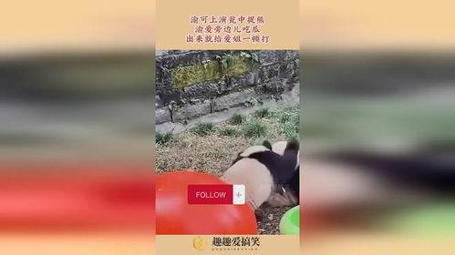 渝爱洗澡吃瓜,洗浴文化中的吃瓜乐趣