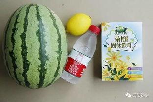 大肥尼吃瓜,揭秘娱乐圈的甜蜜瓜田