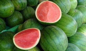 五中宿舍吃瓜,揭秘校园里的“吃瓜”风云