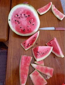 紫瓜怎么煮着吃