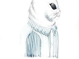 吃瓜君白夜,揭秘娱乐圈背后的秘密与真相