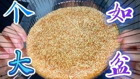 什么动物吃瓜穰,揭秘哪些动物钟爱瓜皮盛宴