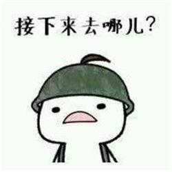 吃鸡吃瓜照片大全高清,吃鸡吃瓜瞬间，趣味横生的欢乐时光