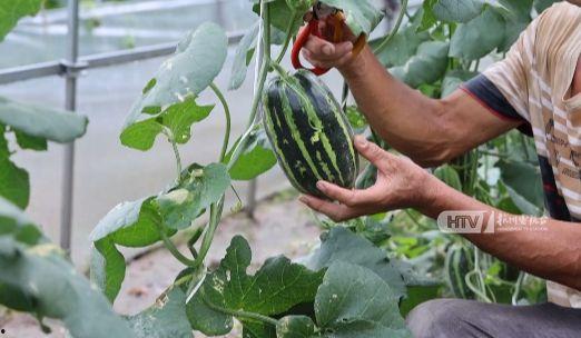 杭州商务圈吃瓜,吃瓜群众眼中的美食风云录